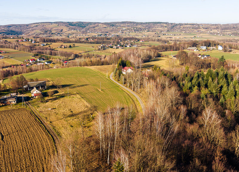 Działka leśna Tuchów
