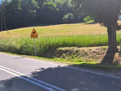 Na sprzedaż działka w Zdoni koło Zakliczyna 22 ar