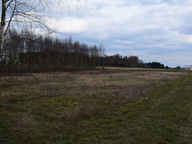 Działka pod zabudowę 55a- Przewrotne