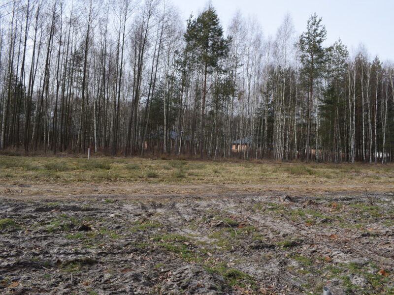 Działki 10a pod zabudowę pod lasem- Widełka