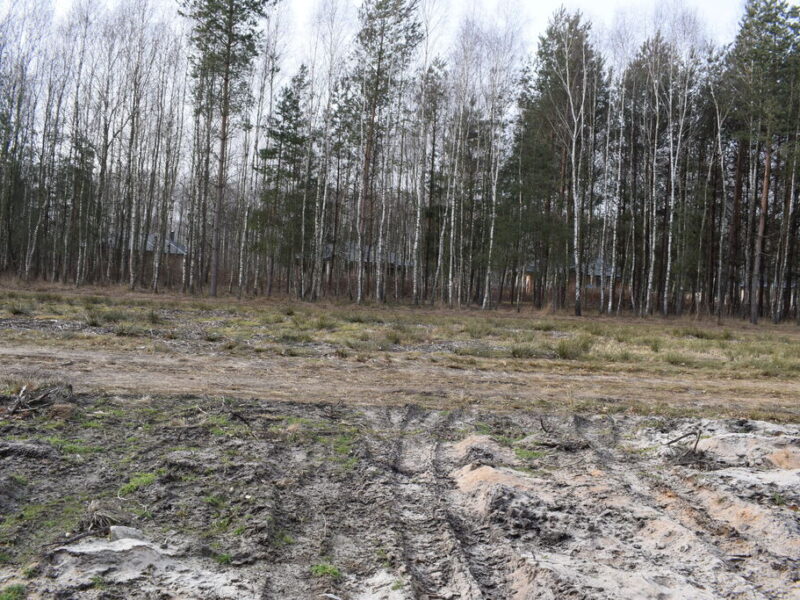 Działki 10a pod zabudowę pod lasem- Widełka