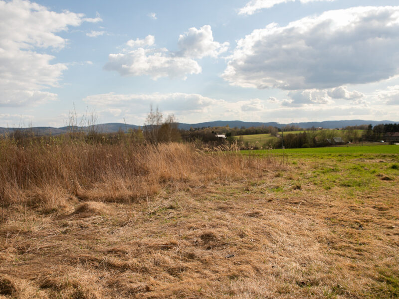 Działka rolno-budowlana w Ryglicach - 1,14 ha!