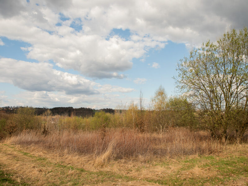 Działka rolno-budowlana w Ryglicach - 1,14 ha!