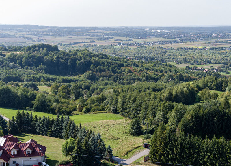Na sprzedaż działka idealna pod winnice