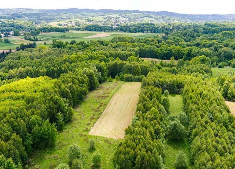 Działka rolna - 4677 m² Skrzyszów