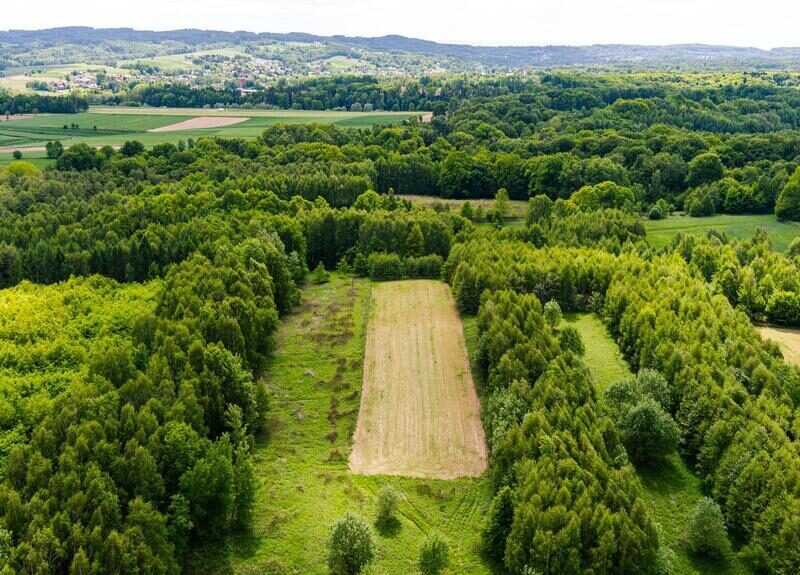 Działka rolna - 4677 m² Skrzyszów