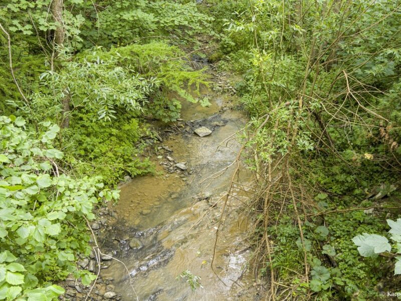 Siedlisko- Stężnica- Bieszczady