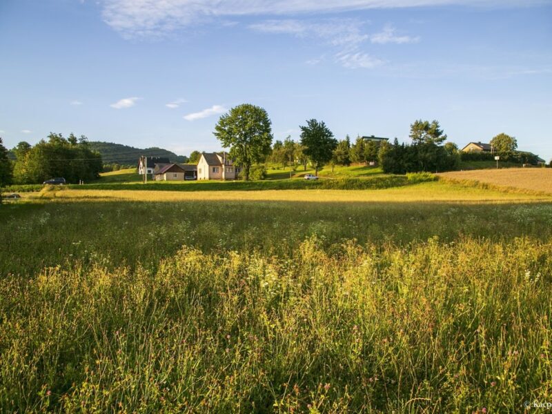 Działka budowlana- Siemiechów- Małopolska
