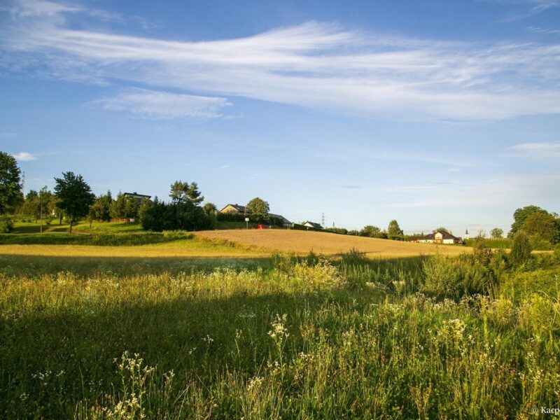 Działka budowlana- Siemiechów- Małopolska