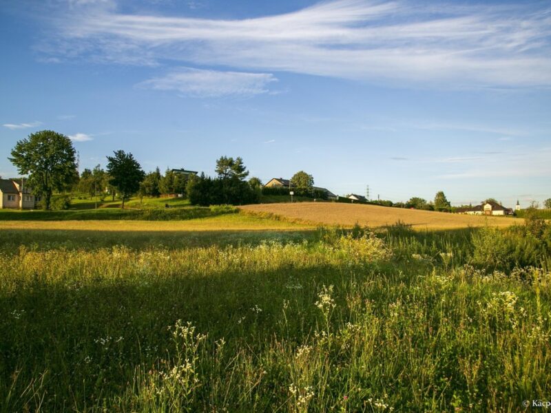 Działka budowlana- Siemiechów- Małopolska