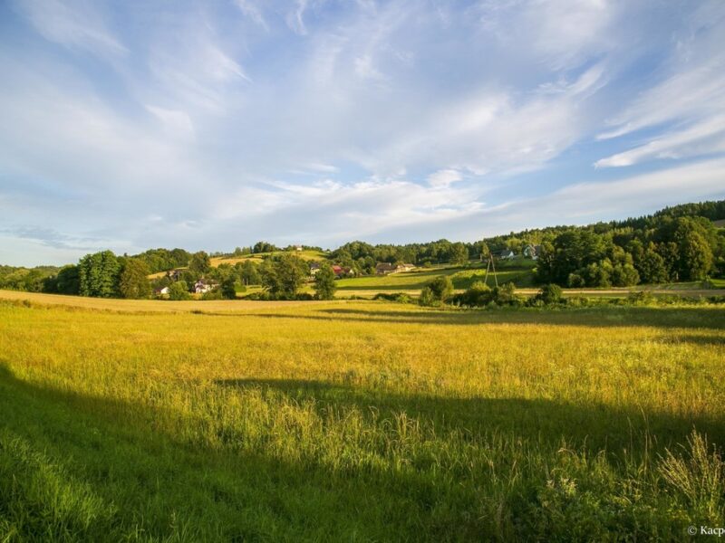 Działka budowlana- Siemiechów- Małopolska