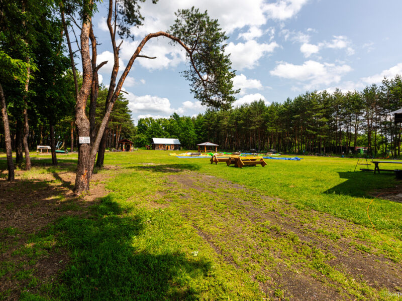 SKANSEN NA SPRZEDAŻ Baranów Sandomierski