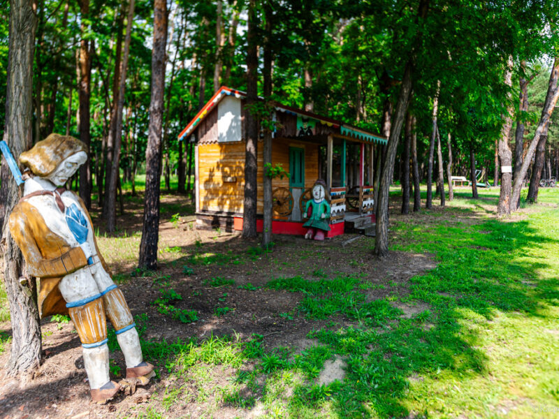 SKANSEN NA SPRZEDAŻ Baranów Sandomierski
