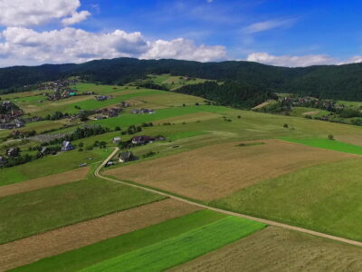 Działka w Grywałdzie; 1,1003 ha; warunki zabudowy