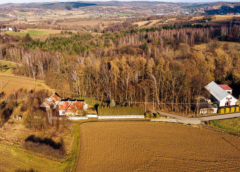 Działka leśna L3 38,45 ar Tuchów