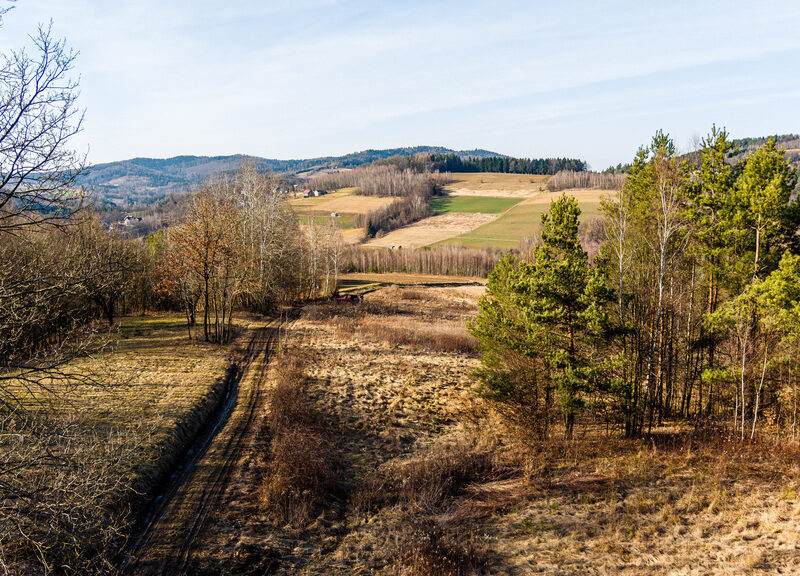 Działka leśna- Olszowa-Zakliczyn -Małopolska