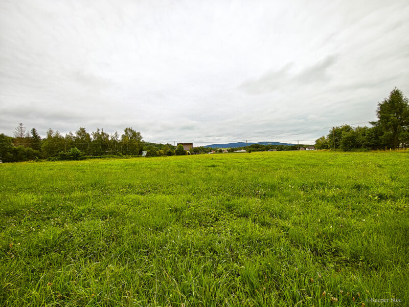 Działka Budowlana 2,5 ha w miejscowości Stróże