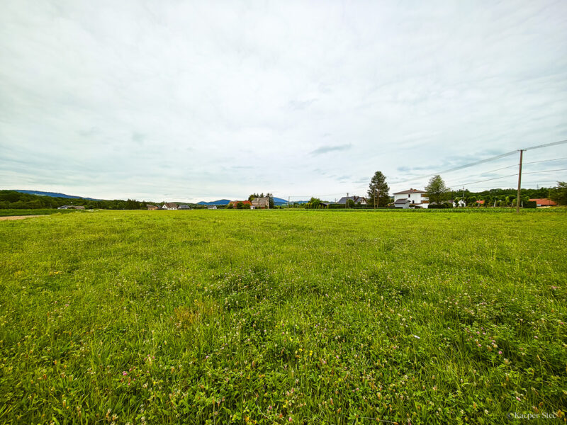 Działka Budowlana 2,5 ha w miejscowości Stróże