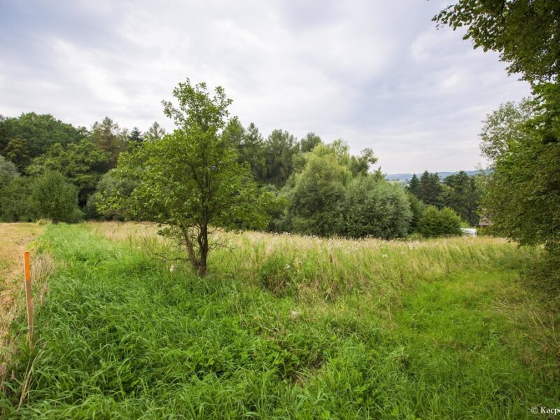 Działka budowlana- Gwoździec- Zakliczyn-Małopolska