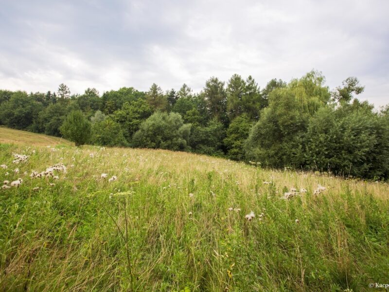 Działka budowlana- Gwoździec- Zakliczyn-Małopolska
