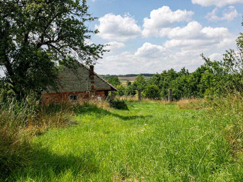 Działka budowlano- rolna- Zalasowa- Małopolska