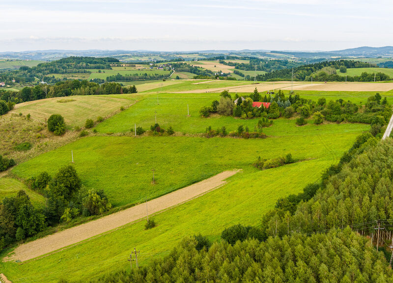 Hektarowa działka budowlana w Krużlowej Wyżnej!