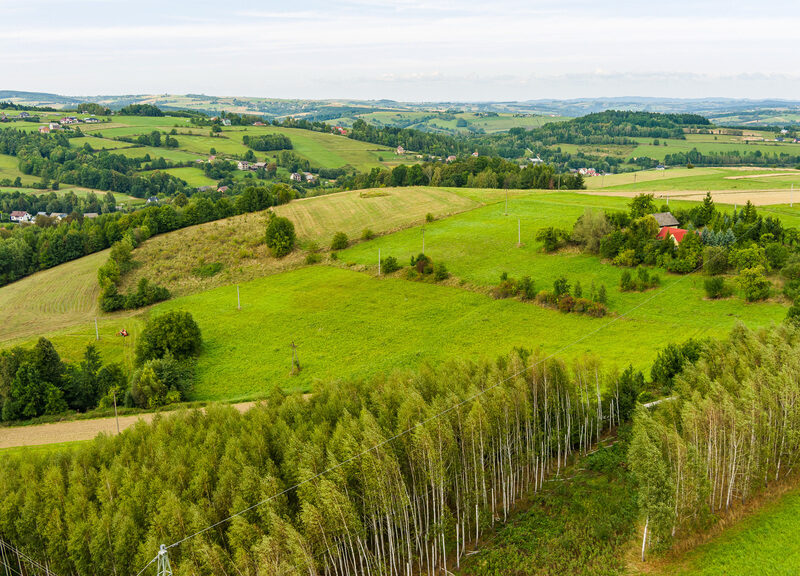 Hektarowa działka budowlana w Krużlowej Wyżnej!