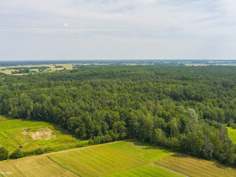 Działka leśna- Narożniki- Radgoszcz