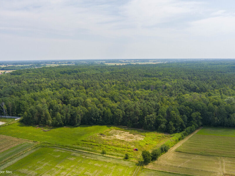 Działka leśna- Narożniki- Radgoszcz