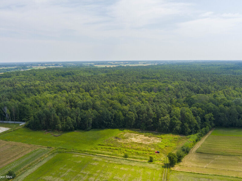Działka leśna- Narożniki- Radgoszcz