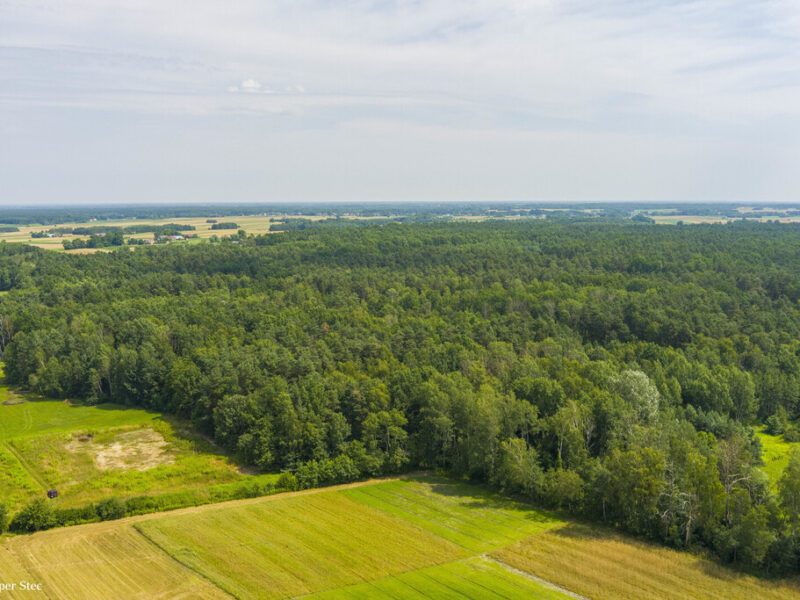 Działka leśna- Narożniki- Radgoszcz