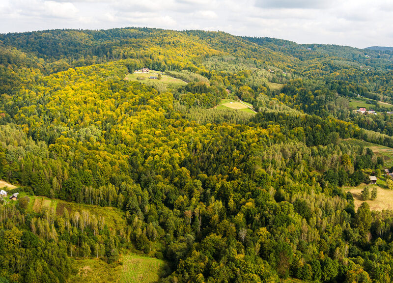 Działka rolno-leśna w Jodłówce Tuchowskiej