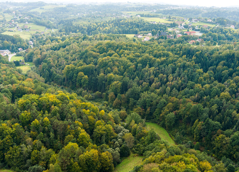 Działka rolno-leśna w Jodłówce Tuchowskiej
