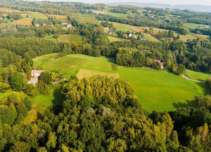 Na sprzedaż działka z domem w Lichwinie