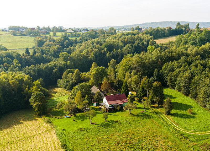 Na sprzedaż gospodarstwo rolne w Lichwinie