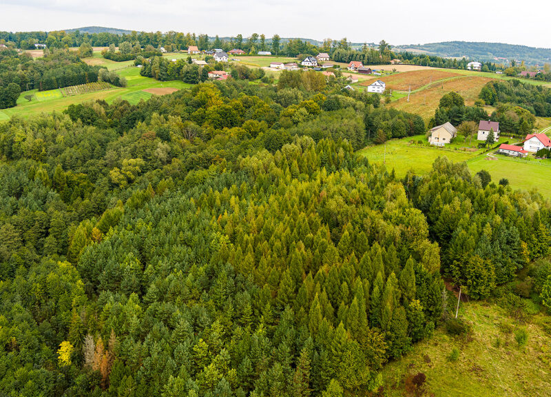 Na sprzedaż działka w Zalasowej