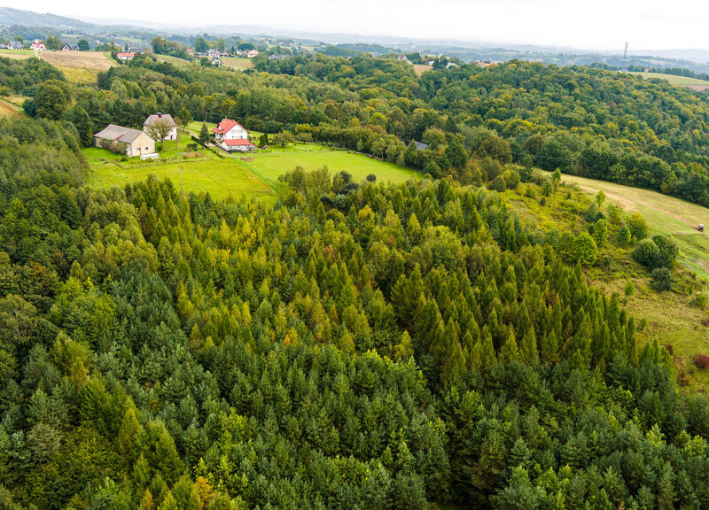Na sprzedaż działka w Zalasowej