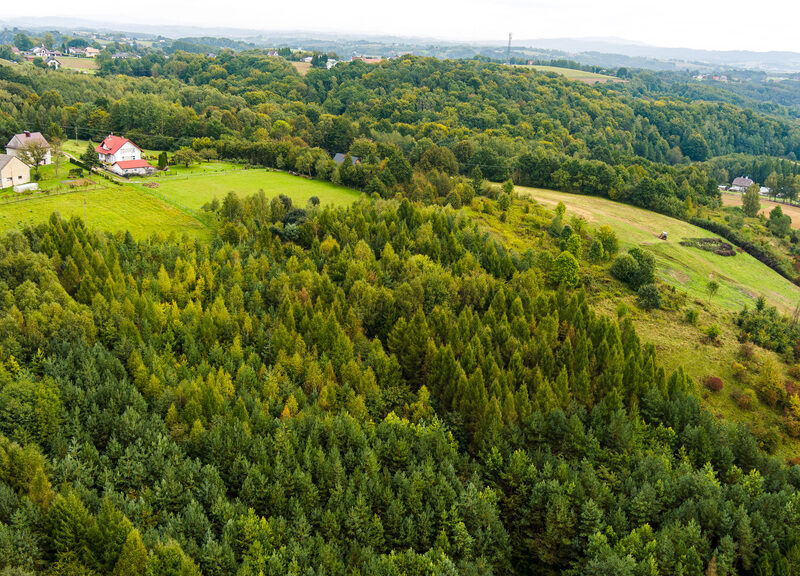 Na sprzedaż działka w Zalasowej