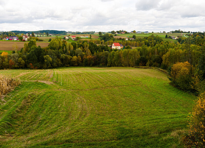Działka Lichwinie. Rolno-leśna, ‼️Nowa Cena ‼️