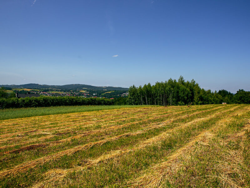 Działka rolno-budowlana w Gromniku!