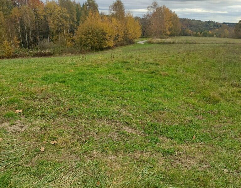 Działka budowlana 36 ar, Tuchów Okazyjna cena !