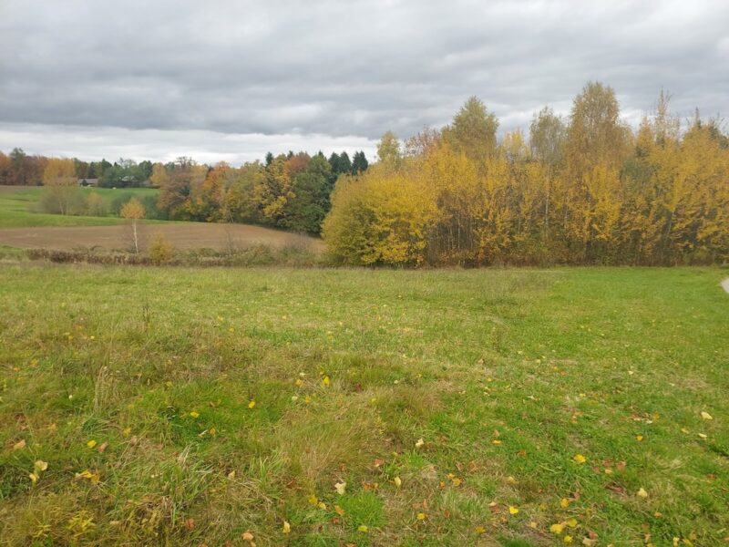 Działka budowlana 36 ar, Tuchów Okazyjna cena !