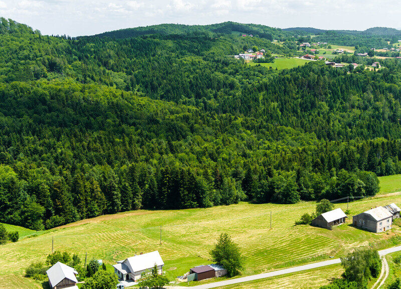 Działka rolno- leśna- Żurowa- Małopolska