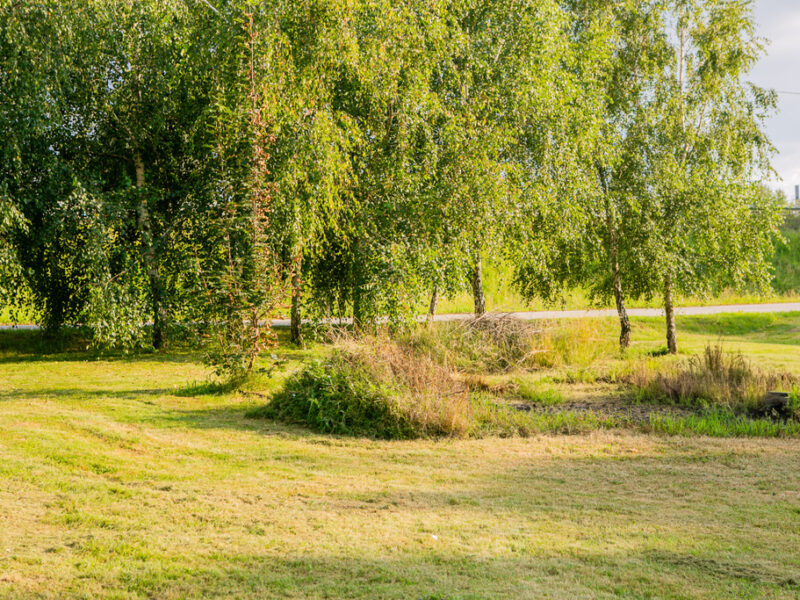 Na sprzedaż: działka Łukanowice Zgłobice 19 arów!