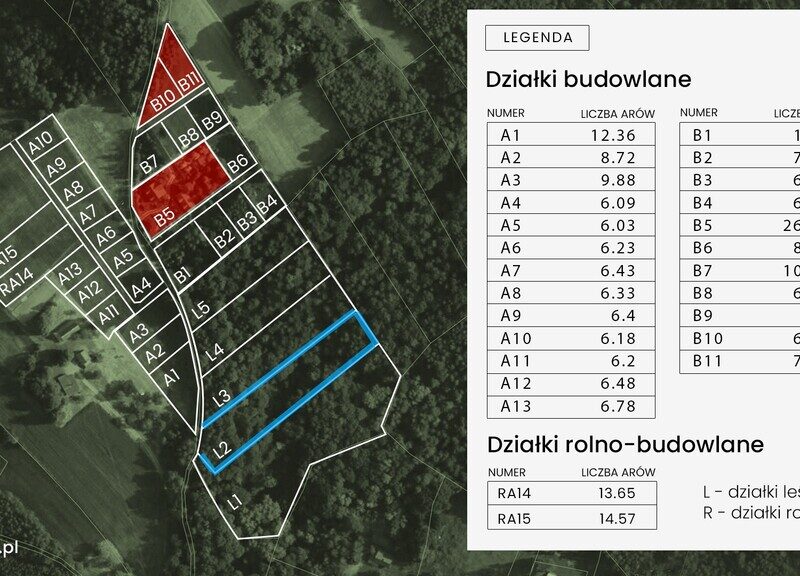 Działka leśna Tuchów