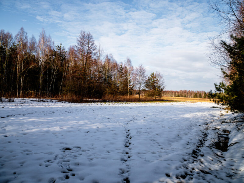 Twoje miejsce na dom – płaska, prostokątna działka