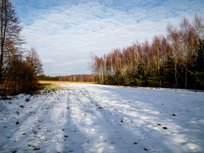 Twoje miejsce na dom – płaska, prostokątna działka