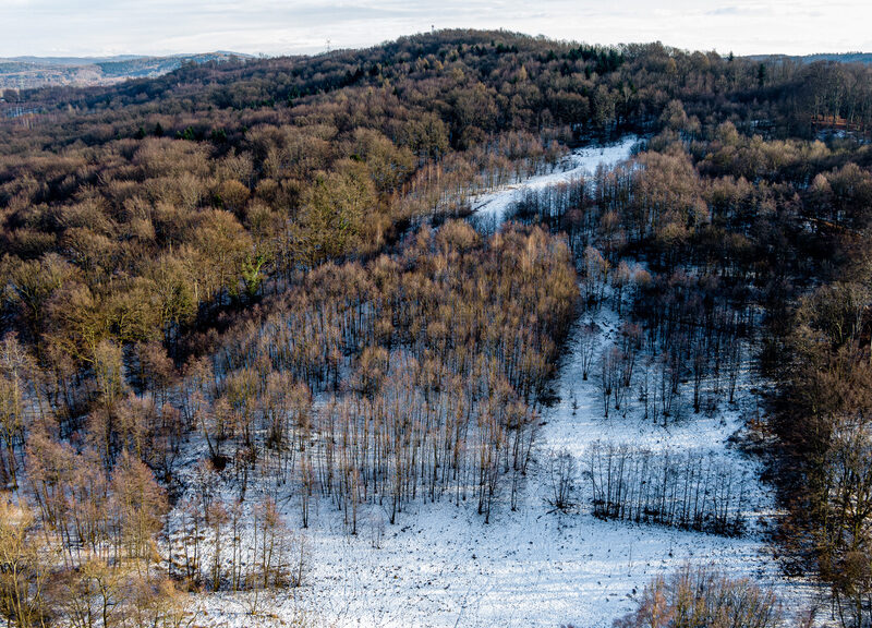 Działka rolna- Grabno- Wojnicz- Małopolska