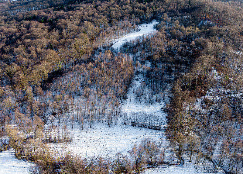 Działka rolna- Grabno- Wojnicz- Małopolska