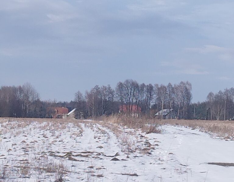 Działka budowlana na sprzedaż Gruszów Mały